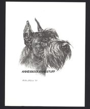 #411 GIANT SCHNAUZER dog art print * Pen &amp; ink drawing by Jan Jellins - $12.50