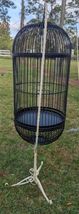 Vintage Bird Cage with Stand Ornate Twisted Iron Pull Out Tray - Local Pick up image 6