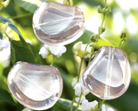 10 Hyacinth Bean Glass Beads Crystal Clear Light Aurora Borealis Finish ... - £9.64 GBP