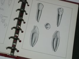 Item image 11