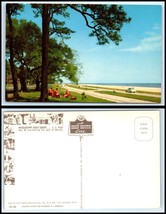 Mississippi Postcard - Showing Gulf Coast S36 - £2.35 GBP