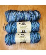 Caron Simply Soft Paints Yarn 3 Skeins SPRING BOOK 0004 Gauge 4 Med Same... - $620.85 MXN