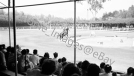 1948 Horse Show Railroad Fair Chicago Photo B&amp;W Negative - £3.09 GBP