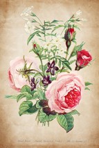 13720.Decor Poster print.Room Wall art design.Botanical.Flowers bouquet.Roses - £13.02 GBP+