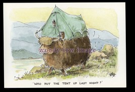 BES108 - Camping - Who put the Tent up Last Night?? - comic postcard by Besley - £1.99 GBP