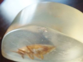 Item image 13
