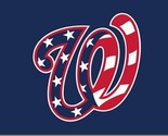 Washington Nationals Camo Flag 3x5ft Banner Polyester Baseball World Ser... - $15.99