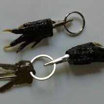 Alligator Foot Claw Necklace – Authentic Gator Foot Pendant with Leather... - $12.38