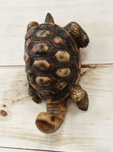 Nautical Marine Brown Long Necked Tortoise Rustic Wall Hook Hanger Figurine - $15.99