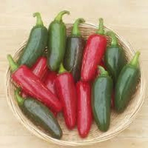 25 Jalapeno M Pepper Seeds - $2.60