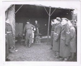 Antique Photo WW2 Era Soldiers At Tent - £2.32 GBP