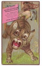 Circa 1890 P.H. Leahy Troy NY trade card cat having its tail pulled - $19.99