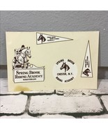 Vintage Springbrook Riding Academy Equestrian Horse Craft Decals Transfers - $11.88