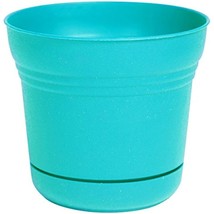 Bloem 814174023082 Saturn Planter with Saucer, 5&quot;, Calypso (SP0527), 5&quot; - £13.61 GBP