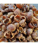 Soap Nuts Organic Laundry Cleaning Washing Berry Seedless Saponin 11oz - £15.81 GBP