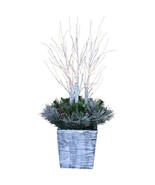 PULEO ASIA LIMITED 301-BT809-36L-JB-TV LED Christmas Porch Pot with Birch &amp; - $111.04
