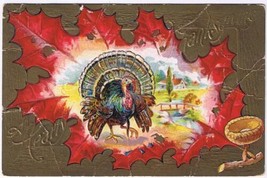 Holiday Postcard Embossed Thanksgiving Turkey Maple Leaf Farm Scene - £2.36 GBP