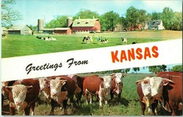 Greetings from Kansas w Cows &amp; Farm Postcard - £5.48 GBP