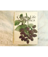 Country Life in America Magazine  July 1904 - $75.15 CAD