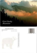 Tennessee Smoky Mountains Trees Foggy Cloudy Misty Valley Vintage Postcard - £7.39 GBP