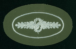 CIRCA 1957-1958, GERMANY, PARACHUTIST QUALIFICATION, RESERVISTS, B&amp;T 127 - £5.80 GBP