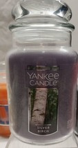 NEW Silver Birch Yankee Candle Original Large Jar Candle  22 oz single w... - £25.81 GBP