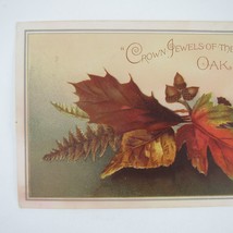 Victorian Christmas Card Autumn Oak Leaves &amp; Acorns Back Potted Plant An... - $7.99