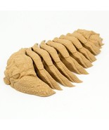 Friendly Fidget Trilobite | Extinct Marine Arthropods - £8.65 GBP