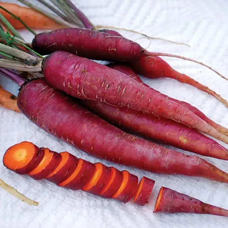 Purple Dragon Carrot Seeds (100) ORGANIC FLORIDA GROWN DELCIOUS - £6.17 GBP