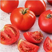 Creole Tomato Seeds 20+ Seeds Non Gmo Fruit Herb Flower Seeds Fo Fresh - $10.75