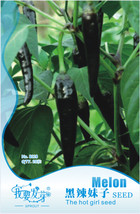 Black Rice Chilli Hot Pepper Vegetable Seeds Approx 20 Seeds Garden - £4.90 GBP