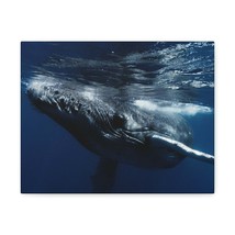 Blue Whale Hunting Blue Whale on Hunt Print Animal Wall Art Wildlife Canvas Pri - £56.28 GBP+