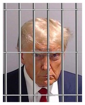 President Donald Trump Mugshot Behind Bars In Jail 8X10 Photo Reprint - £6.67 GBP