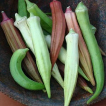 ArfanJaya Rainbow Fiesta Okra Seeds 30 Ct Mix Vegetable Non-Gmo - £6.15 GBP