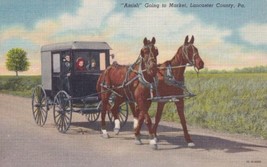 Amish Going to Market Lancaster County Pennsylvania PA Postcard A13 - £2.39 GBP