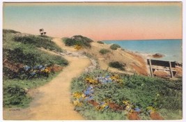 Postcard The Marginal Way Winding Curve In Path Ogunquit Maine Hand Colored - £7.83 GBP