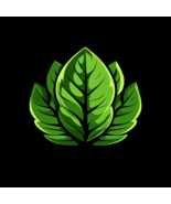 Premium Domain for Sale: GrabSomeGreens.com – For Health, Food, Vegan or Garden - $494.01