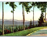 Typical Valley Vista in California CA UNP DB Postcard W5 - $4.49