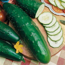 25 Seeds Cutter Cucumbers Planting Easy To Grow Garden Fresh USA Shipping - $9.89