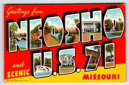 Greetings From  Neosho US 71 Missouri Large Big Letter Postcard Linen Curt Teich - $12.83