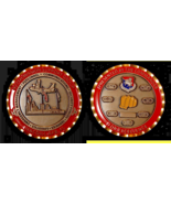 BIG 927th Support Group MACDILL AFB Commander&#39;s Presentation Challenge Coin - $29.45