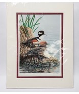 Hooded Mergansers Print Ed Newbold Artist Limited Edition Signed 40/950 ... - $34.60