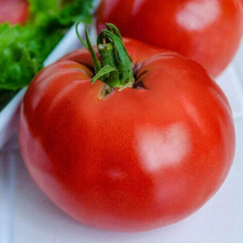 Fresh Tomato Marglobe Supreme Heirloom 130 Seeds (Buy Any 10-Ships Free)... - $3.00