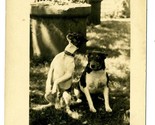 2 Marquis Cattle  Dogs Real Photo Postcard Moline Illinois 1911 - £31.10 GBP