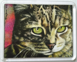 Cat Art Acrylic Large Magnet - Lloyd - $8.00