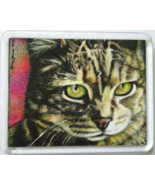 Cat Art Acrylic Large Magnet - Lloyd - $10.94 CAD