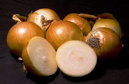 500 Yellow Sweet Spanish Onion Seeds Non Gmo  - £5.97 GBP