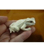 FROG-W20) little Frog shed ANTLER figurine Bali detailed carving amphibi... - £68.01 GBP