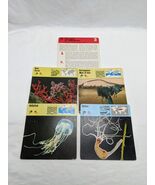 Lot Of (4) 1975 Rencontre Sponges And Jellyfishes Education Cards - €7,42 EUR
