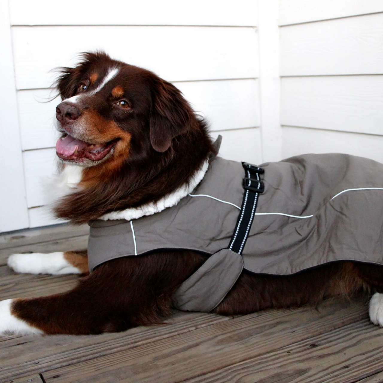 Alpine Tuf Terrain Dried Sage Brown Fleece Lined Canvas Coat Sizes XS - 5X-Large Item image 4
